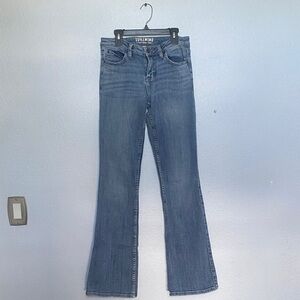 Idyllwind Classic Blue Flare Jeans